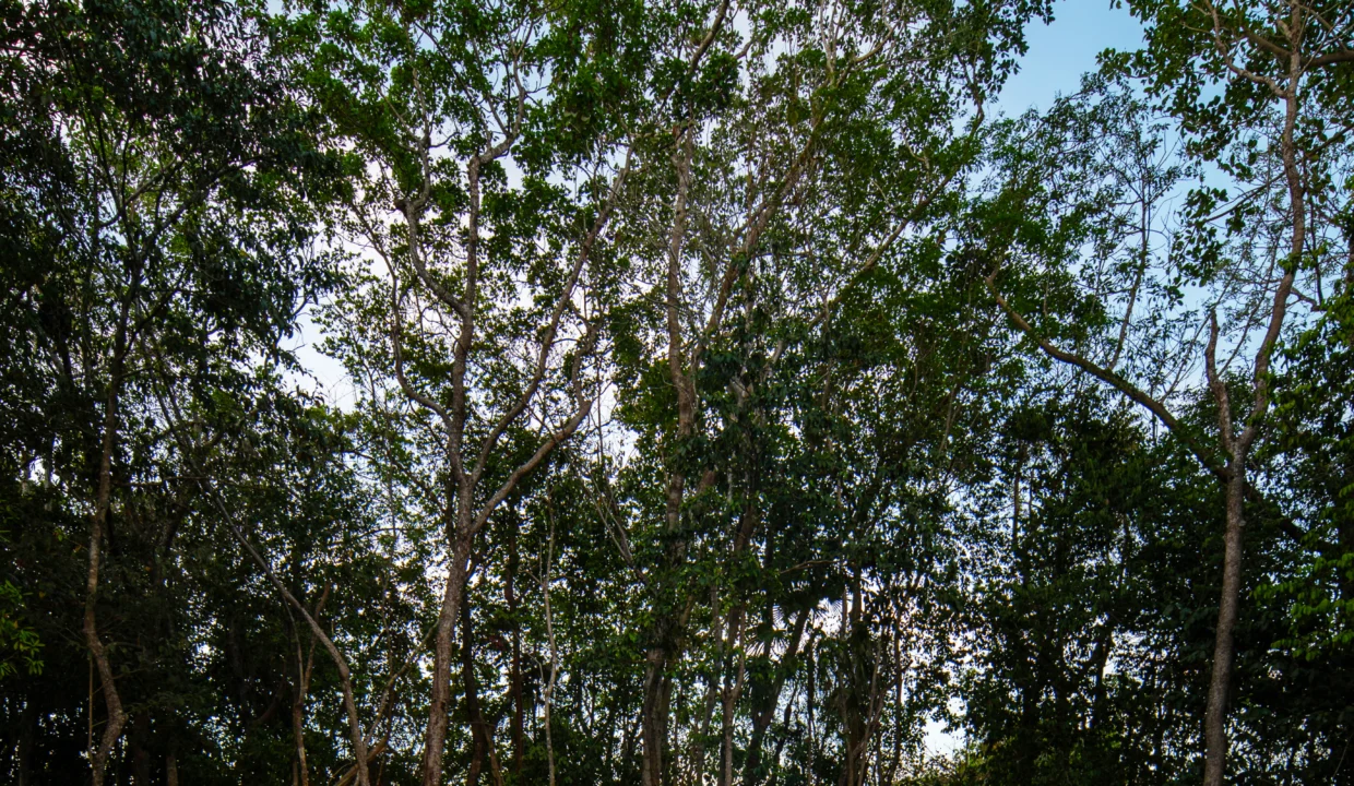 Areas Comunes Selva Escondida 24-70 copia 2_resultado