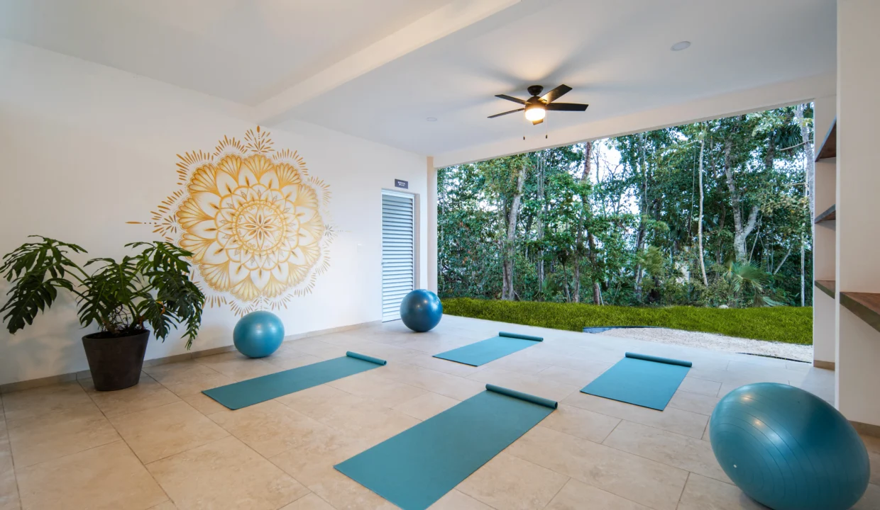 área de yoga_resultado