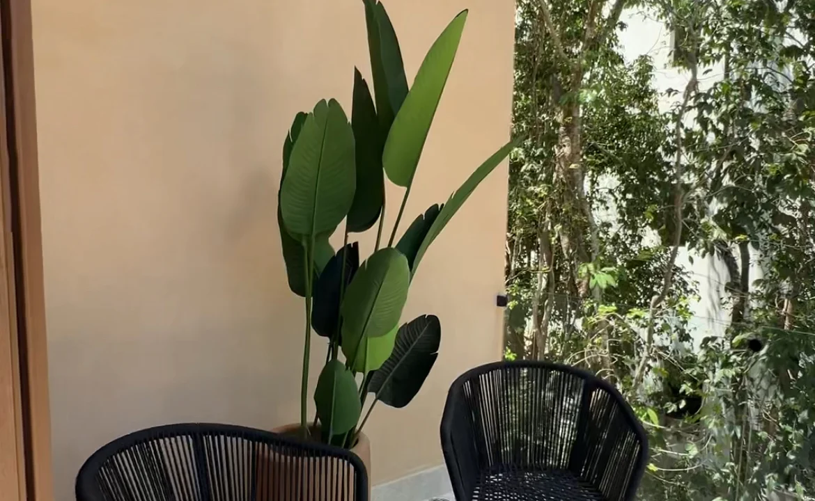 Casa Tzalam - Terraza
