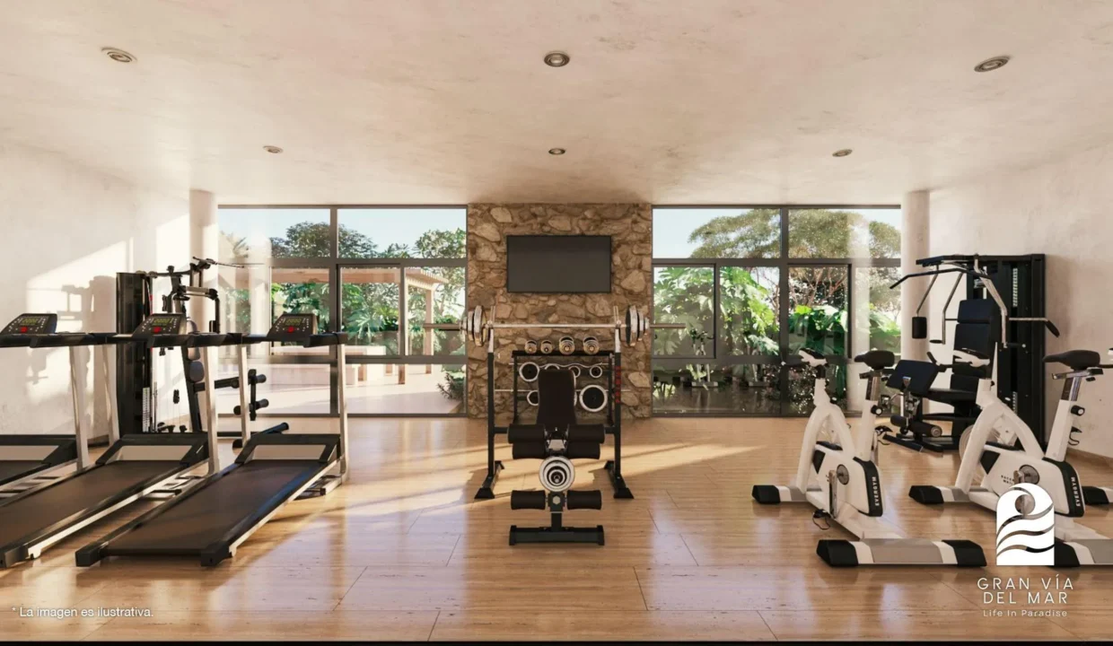 GVDM - GIMNASIO INTEROR