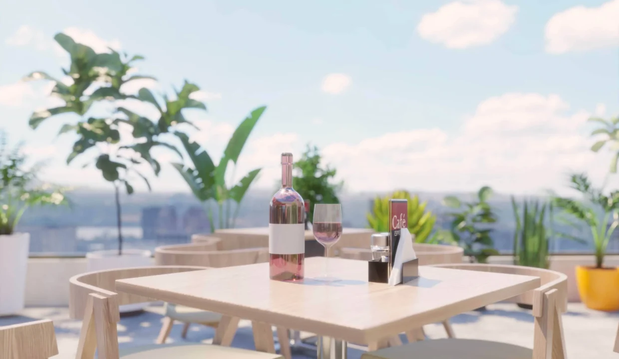14.-Terraza Acercamiento vino