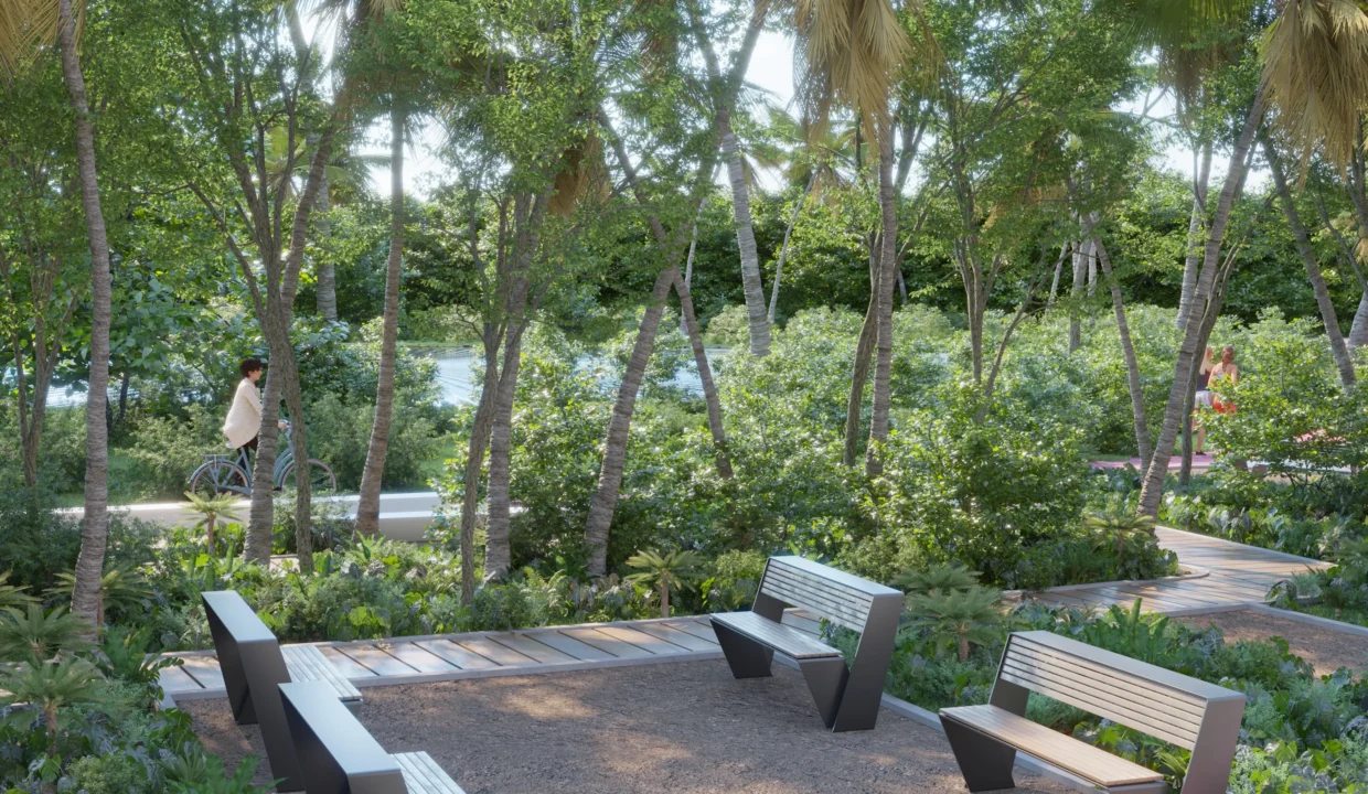 Parque lineal hacia manglar